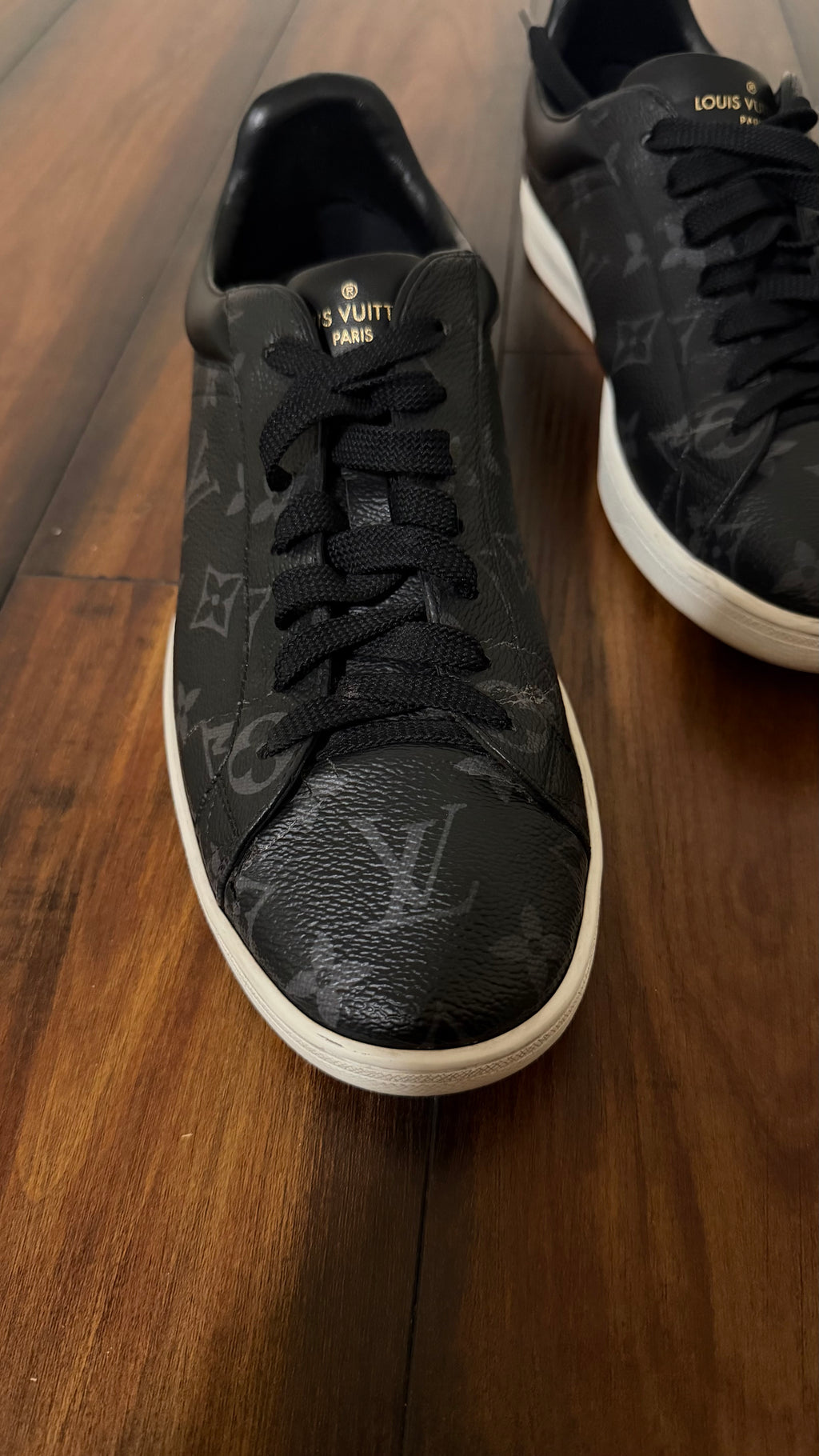 Louis Vuitton sneakers (size 7.5LV - 9US)