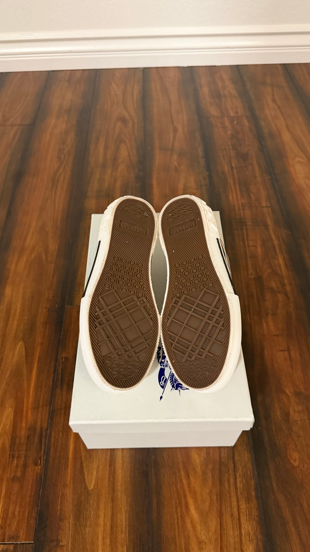 Burberry chuck sneakers (size 36.5EU - 6.5W - 5youth)